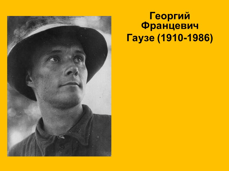 Георгий Францевич Гаузе (1910-1986)